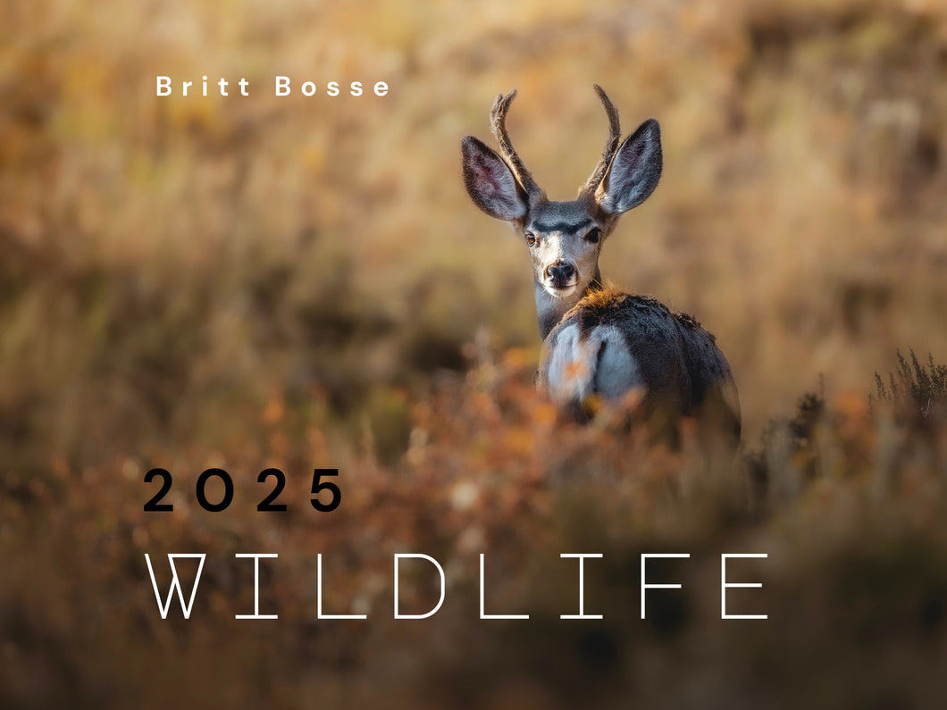 2025 Wildlife Calendar